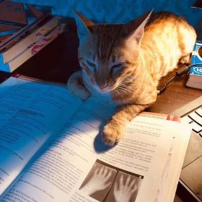 sara24603's profile picture