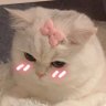 𝙉𝙉シ♡'s profile picture