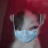 Sannti Varela's profile picture