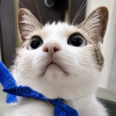 Tech Actually's profile picture