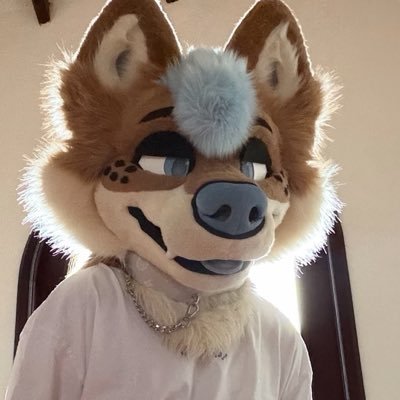RoryShiba's profile picture
