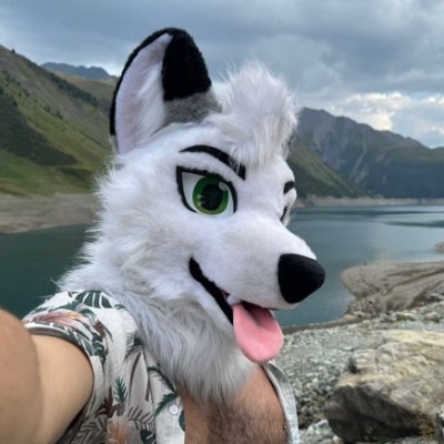 Voltingg's profile picture