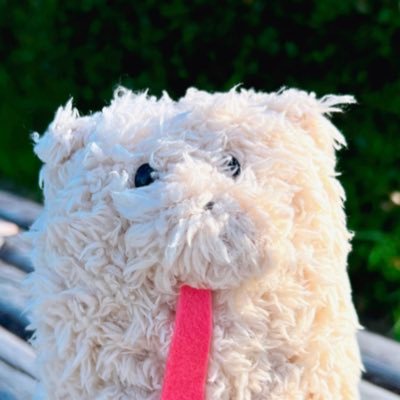 舐めた犬's profile picture