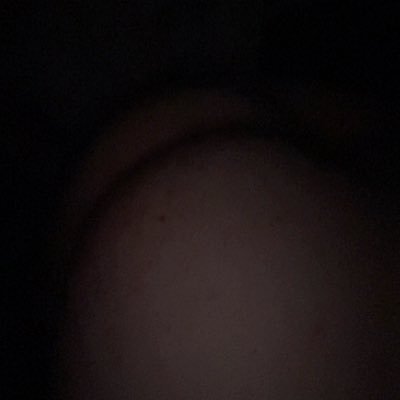 puppi's profile picture