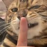 yydsgwj profil fotoğrafı