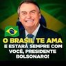 Julieta Van Blues 🇳🇱🇧🇷🇺🇸's profile picture