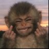 Profilbild von safu