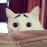 みゆき 的头像