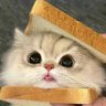AiNova's profile picture