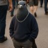 mr. Bombastic profil fotoğrafı