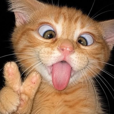 IPHADHAA1's profile picture