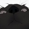 DREAM 🐈‍⬛🔮⭐ 的头像