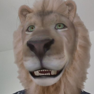 Liassur 🌖's profile picture