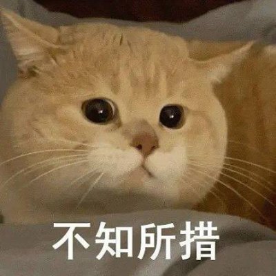 Kaguya Shihai's profile picture