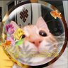 ᵇᵃᵉᵇⁱᵇᵃⁱ🍎's profile picture