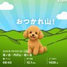 🐶ユキ's profile picture