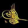 Osmanlı torunu's profile picture