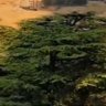 Фото профиля ميرنا
