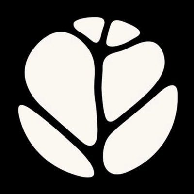 xFractal's profile picture