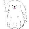 Profilbild von べるーが