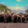 Ivan Muhire. M profil fotoğrafı