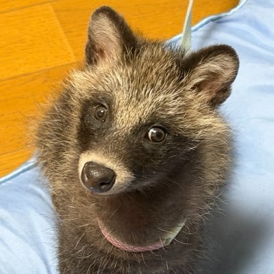 s6556225's profile picture