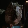 T-Rex male profil fotoğrafı