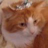 Profilbild von RED