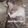 vişnelikek's profile picture