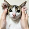 Фото профиля ชอมอ ✨💫 (บีหยอย)