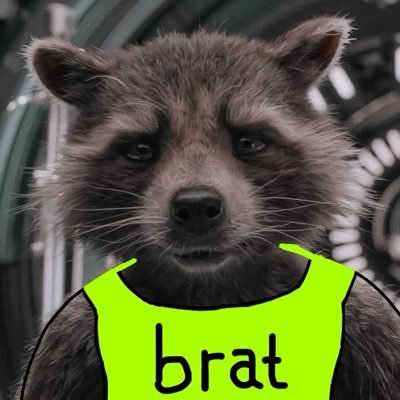 𝔼𝕨𝕒𝕟 🚀🍏🦝's profile picture