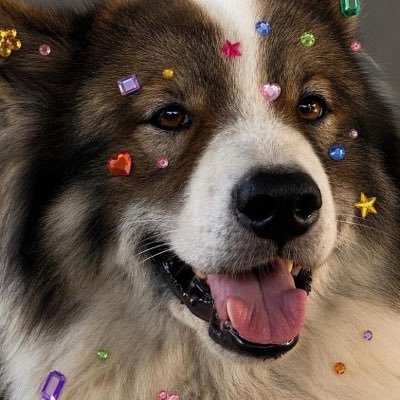 talayloma's profile picture