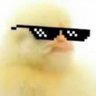 Tweety profil fotoğrafı