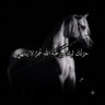نــَِادُيٓــِة🦋 profil fotoğrafı