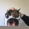 43's profile picture