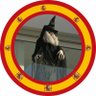 La bruja de Shakira 🇪🇸🇪🇸🇪🇸's profile picture