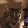 manuel's profile picture