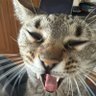 Janyx's profile picture