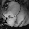 Afrômena profil fotoğrafı