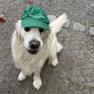 tobi's profile picture