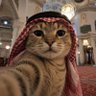 Galib profil fotoğrafı