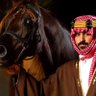 Profilbild von عزيز البركات