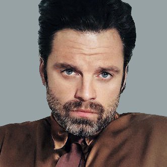 sebstanarchive's profile picture