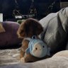 亗•ᵖᵃʳᵗⁿᵉʳᶠᵒʳᵉᵛᵉʳ✿᭄ 🐶🩷🐰💚 (✿♥‿♥) profil fotoğrafı