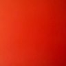 -'s profile picture