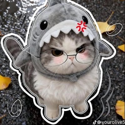 😿's profile picture