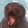 Blighter's profile picture