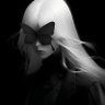 Raven 的头像