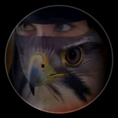 alshykhhzh8's profile picture