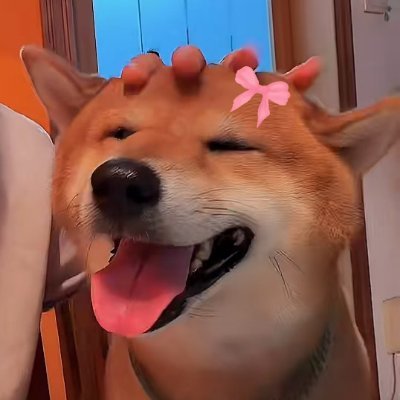 K_kratay2's profile picture